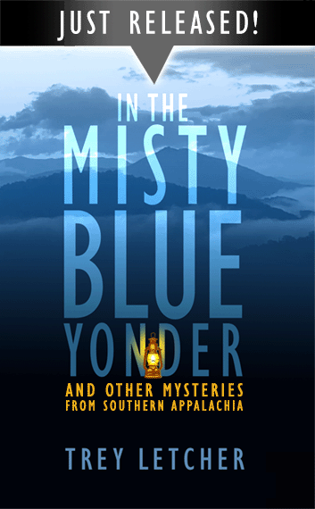 JUST RELEASED - Book Cover - IN THE MISTY BLUE YONDER