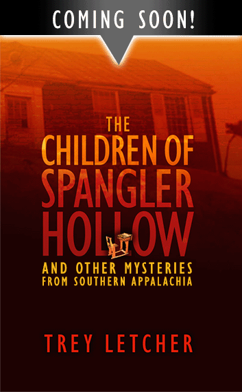 COMING SOON! - Book Cover - THE CHILDREN OF SPANGLER HOLLOW